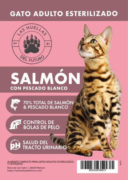 Gato Salmón Adulto esterilizado