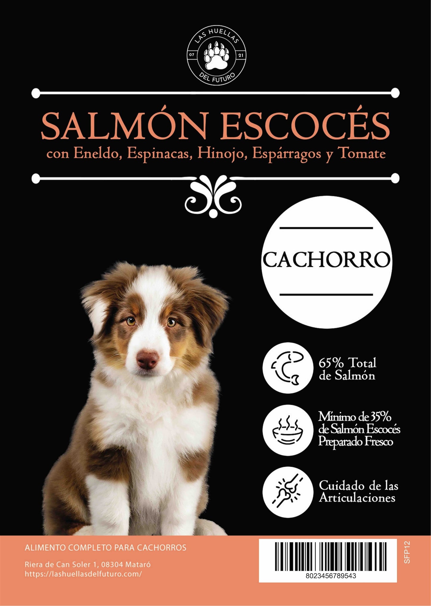 Superfood 65 Cachorro salmón